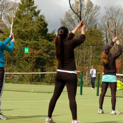 Joueurs de tennis adultes